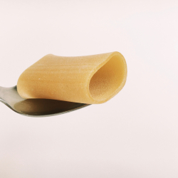 Paccheri Gentile pasta