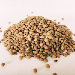 Lentils Partridge Eye Mariangela Prunetto 500 g