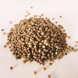 Lentils Partridge Eye Mariangela Prunetto 500 g