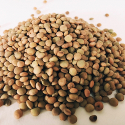Lentils Partridge Eye Mariangela Prunetto 500 g