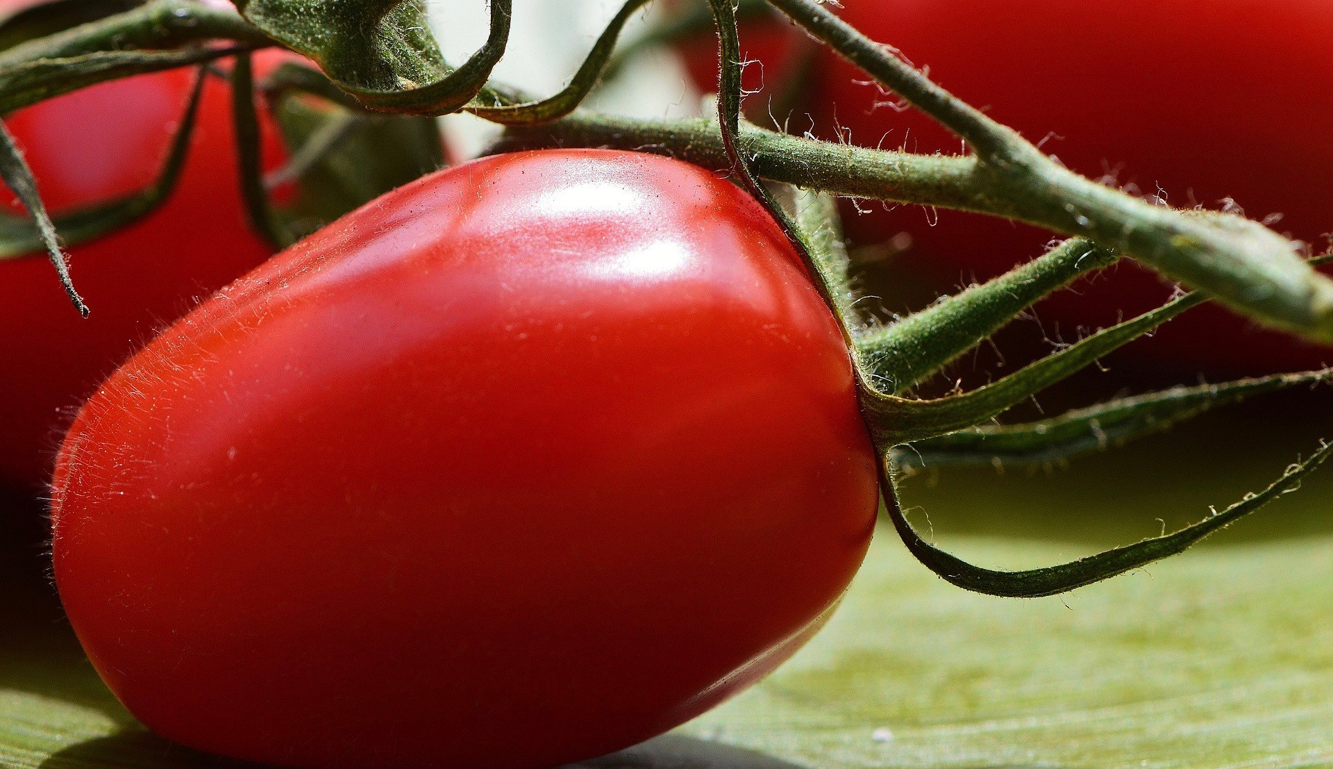 Tomatoes & sauces